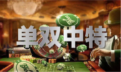 澳门材料查询大全