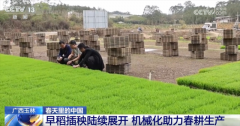 万象“耕”新不负春 但愿的郊野上农业现