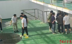 枣林船闸泵坐告急补水为农田解渴